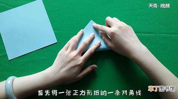 猫的折法