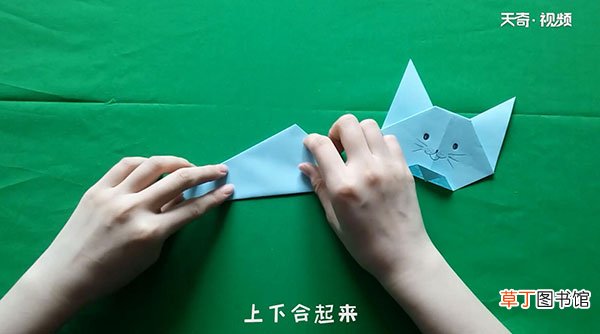 猫的折法