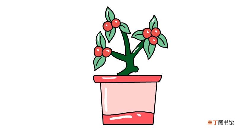 冬珊瑚简笔画怎么画