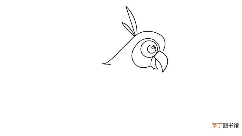鹦鹉怎么画简笔画
