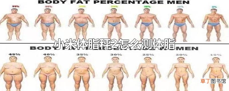 小米体脂秤2怎么测体脂