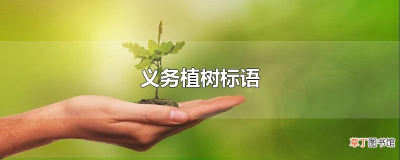 义务植树标语