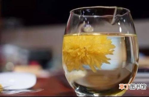 降三高喝什么茶-喝什么茶降三高