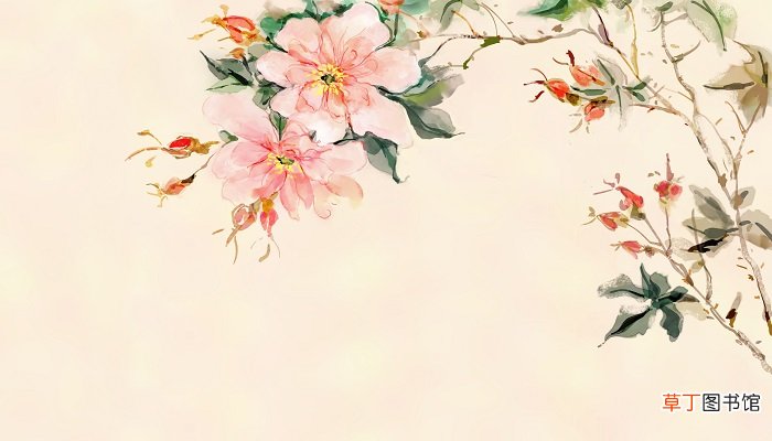 描写烟草花开放的句子 描写烟草花开放的样子