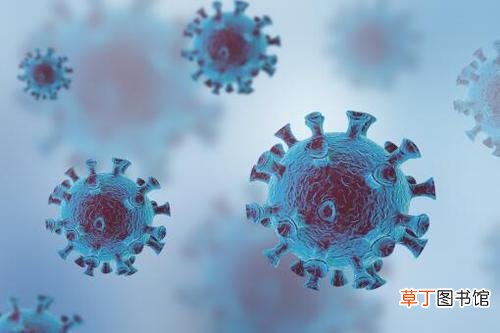 31省新增确诊6例 31省区市新增确诊6例均为境外输入