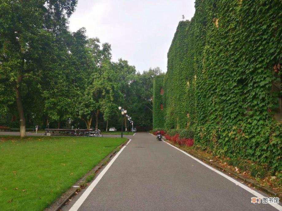 中国占地面积最大的学校 全国校园面积最大的大学
