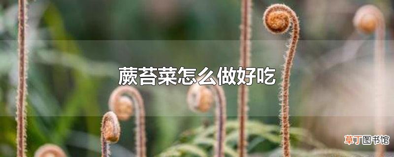 蕨苔菜怎么做好吃