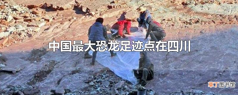 中国最大恐龙足迹点在四川