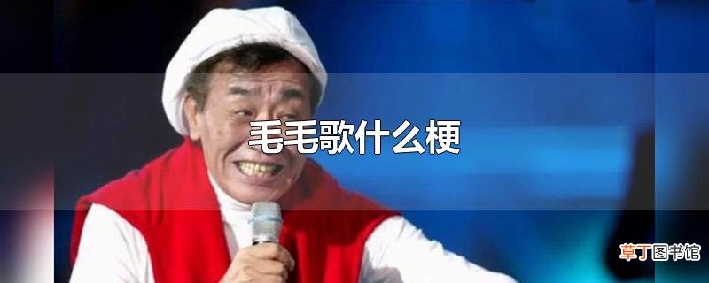毛毛歌什么梗