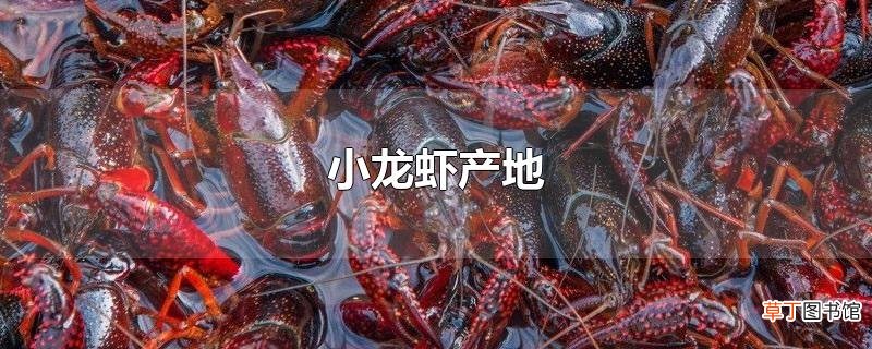 小龙虾产地