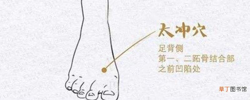 太冲准确位置图和作用及功效