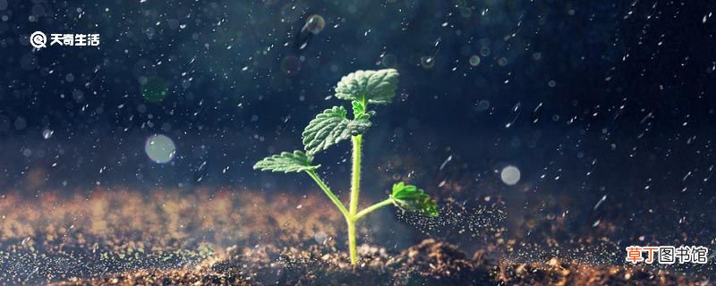 早春呈水部张十八员外中早春的诗意 早春水早春呈水部张十八员外诗意
