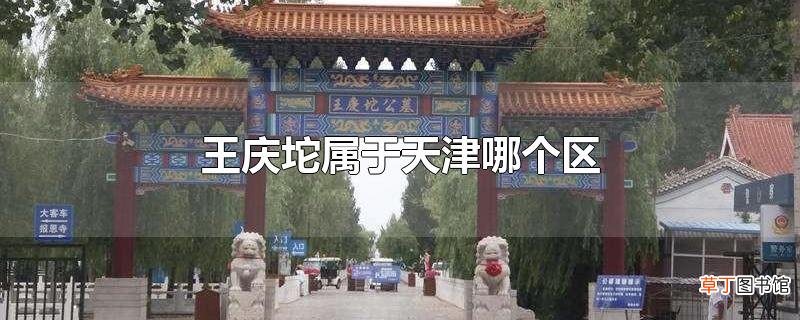 王庆坨属于天津哪个区
