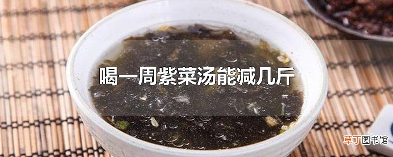 喝一周紫菜汤能减几斤