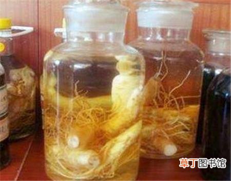 什么药材泡酒最好-泡酒用什么药材最好
