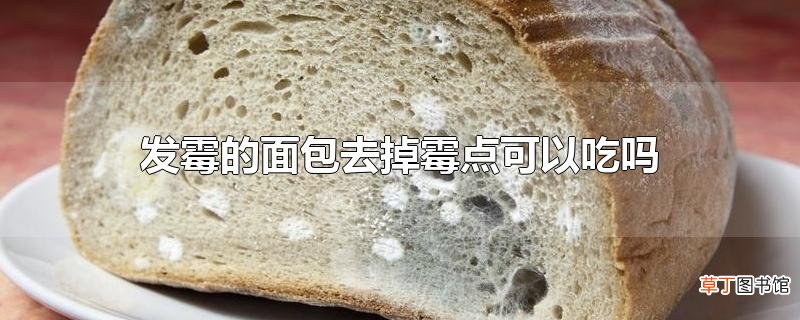 发霉的面包去掉霉点可以吃吗