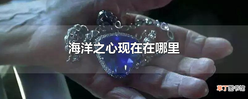 海洋之心现在在哪里