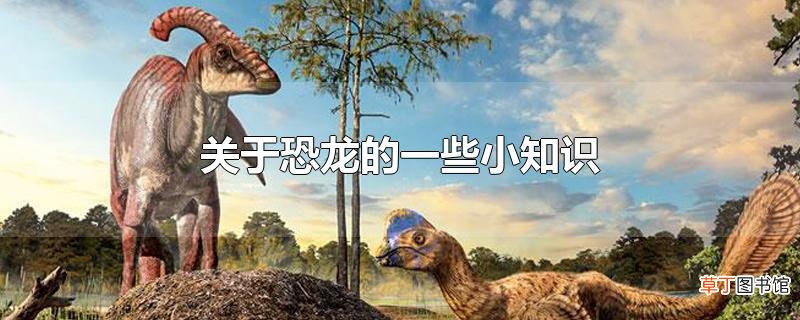 关于恐龙的一些小知识