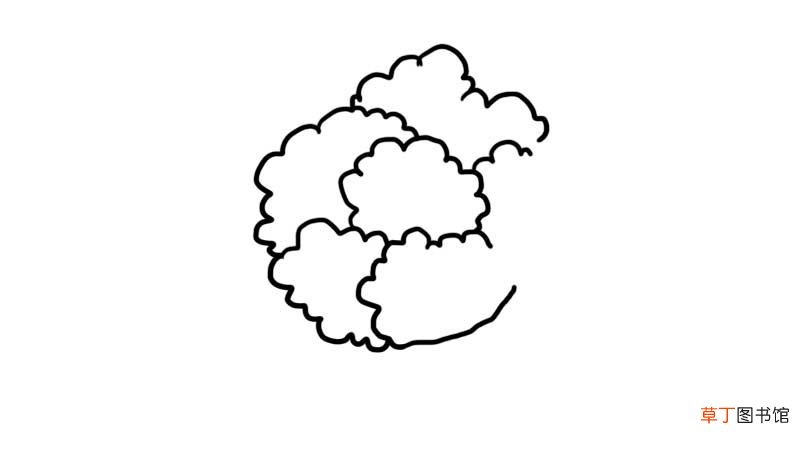 花菜简笔画怎么画