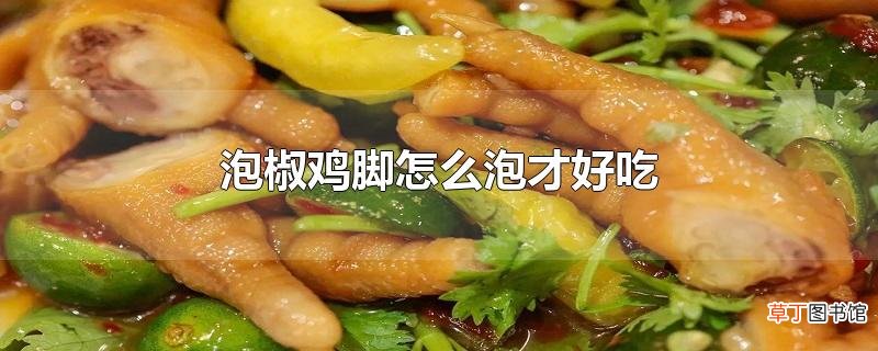泡椒鸡脚怎么泡才好吃