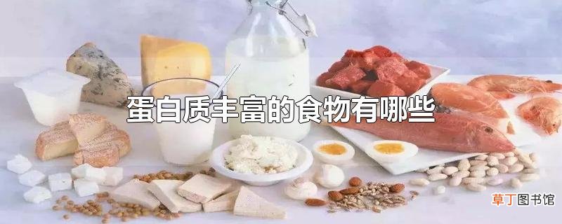 蛋白质丰富的食物有哪些