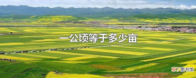 一公顷等于多少亩