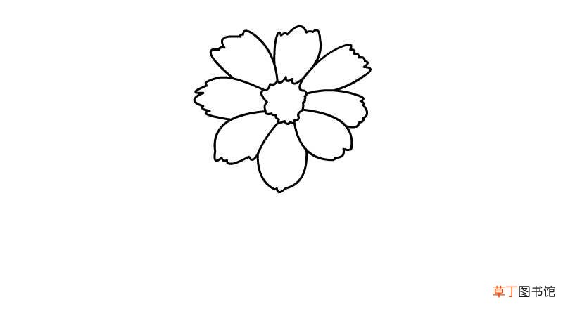 粉色菊花简笔画