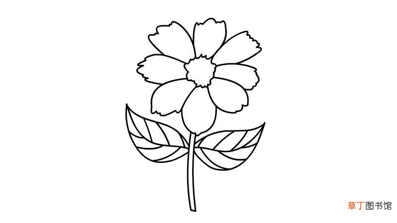 粉色菊花简笔画