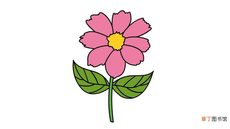 粉色菊花简笔画