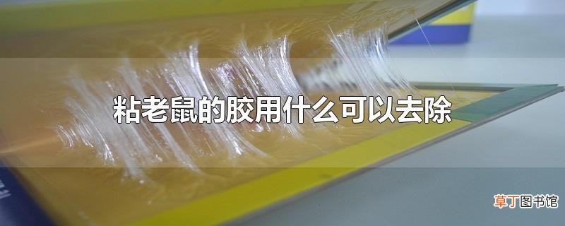 粘老鼠的胶用什么可以去除