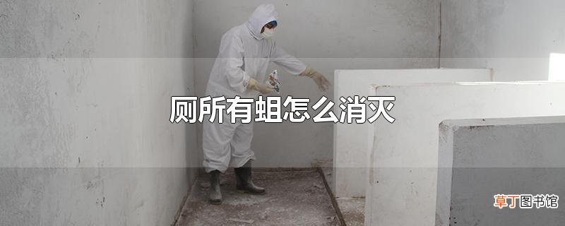 厕所有蛆怎么消灭