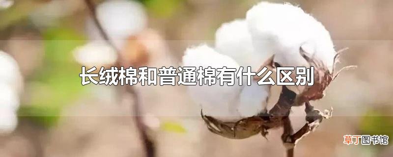 长绒棉和普通棉有什么区别