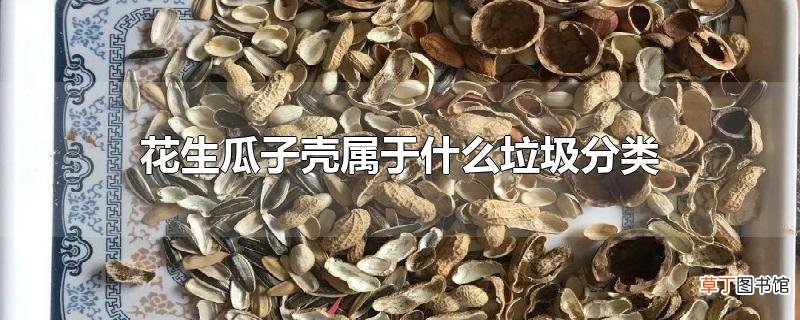花生瓜子壳属于什么垃圾分类