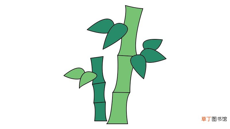 竹子简笔画画法竹子简笔画教程