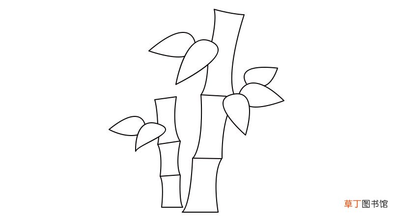 竹子简笔画画法竹子简笔画教程