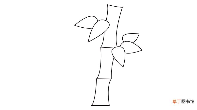 竹子简笔画画法竹子简笔画教程