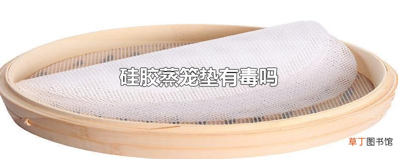 硅胶蒸笼垫有毒吗