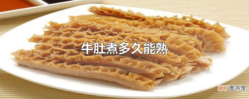 牛肚煮多久能熟