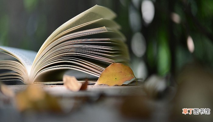 斯文败类是什么意思 斯文败类