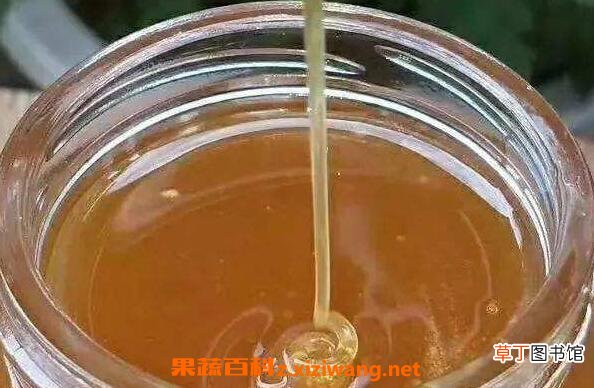野坝子蜜的作用与功效 野坝子蜜的食用方法