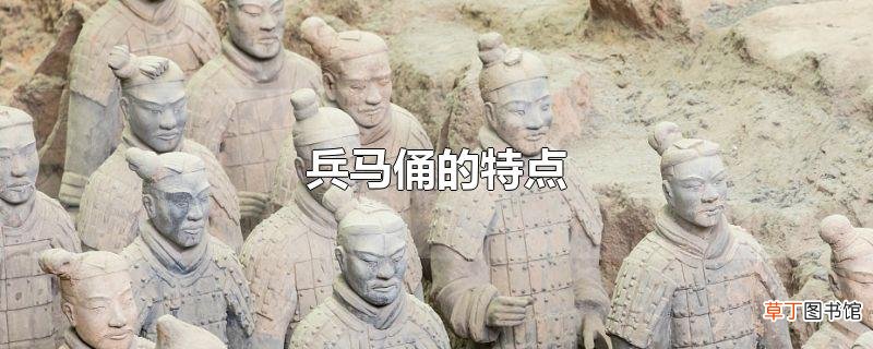 兵马俑的特点