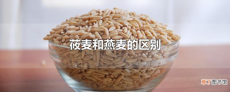 莜麦和燕麦的区别