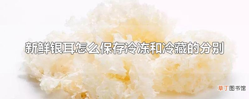 新鲜银耳怎么保存冷冻和冷藏的分别