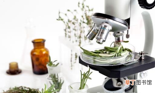 洗蔬菜水果时如何去掉农药残留 不同蔬果的农药分析