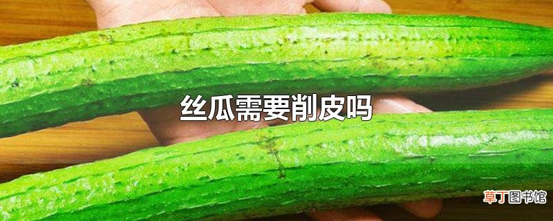 丝瓜需要削皮吗