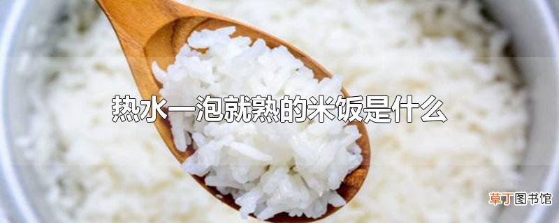 热水一泡就熟的米饭是什么