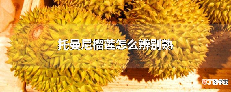 托曼尼榴莲怎么辨别熟