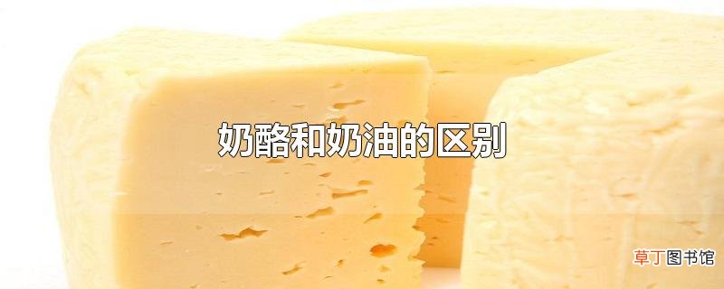 奶酪和奶油的区别