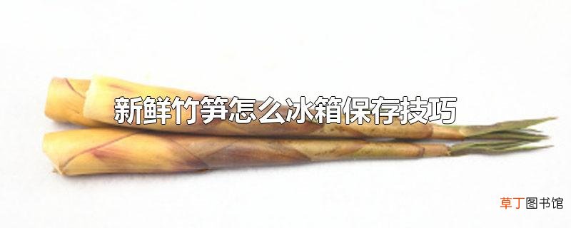 新鲜竹笋怎么冰箱保存技巧
