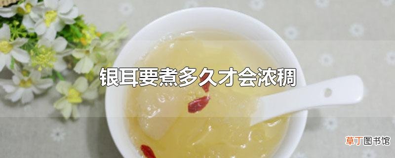银耳要煮多久才会浓稠